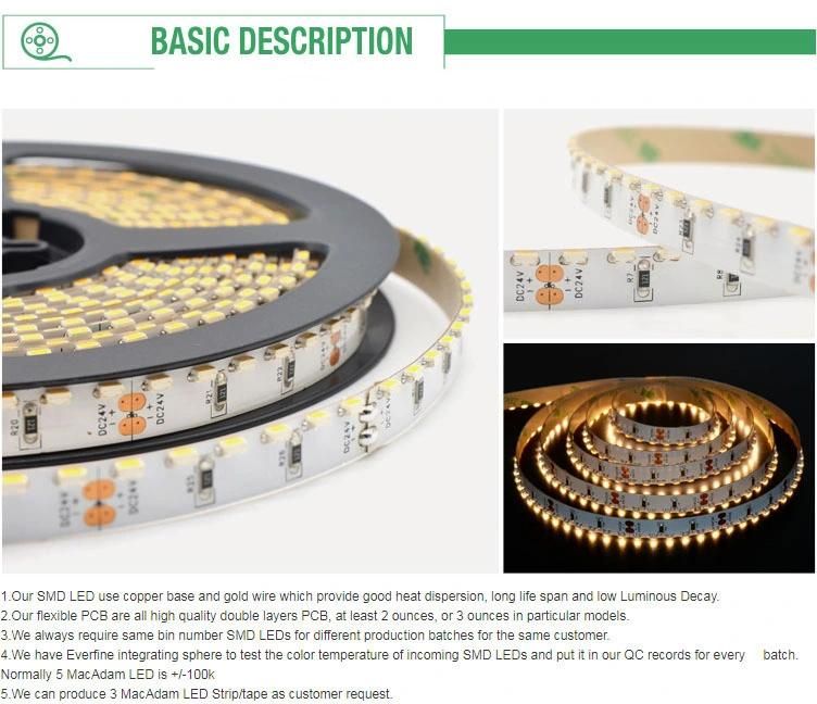 High Quality DC 12V 24V 3014 SMD 156LEDs/M Flexible LED Strip Light