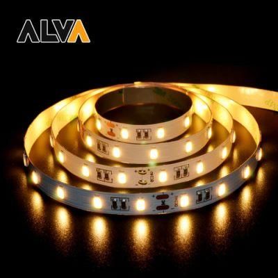 72PCS/M SMD5630 Flexible Rope Light DC24V LED Strip with TUV CE, IEC