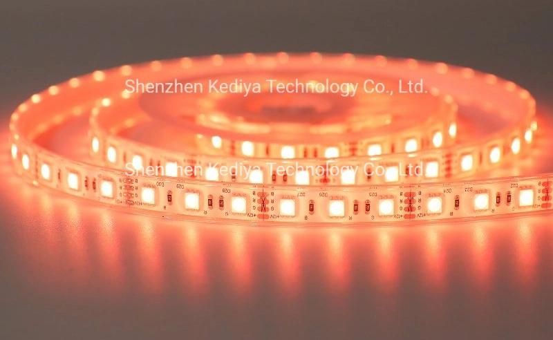 SMD 12V 24V LED Underwater Silicone Extrusion Waterproof IP68 Rope 5050 60 RGB Flexible LED Strip Light for Pool and Home Decoration Light