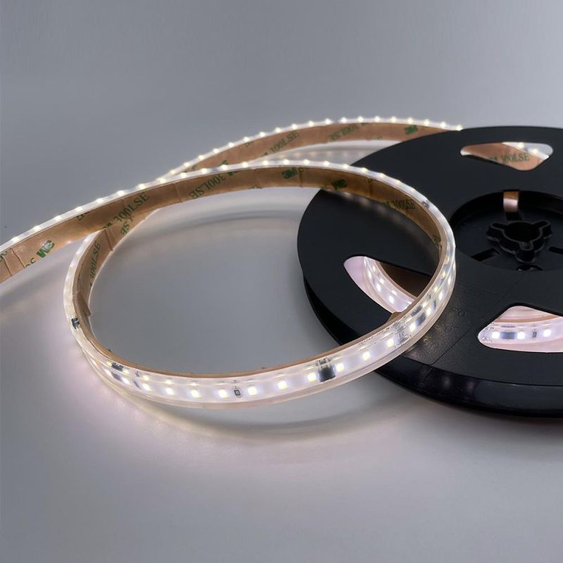 High Voltage LED Strip Light SMD2835 120LEDs/M 12W/M IP68