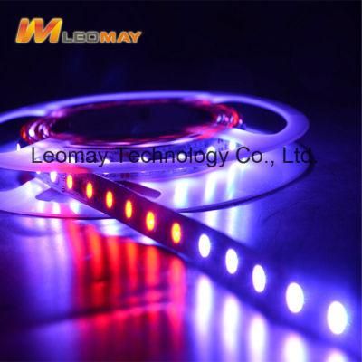 12V Digital Addressable RGB LED Strip Ws2811 60leds/M