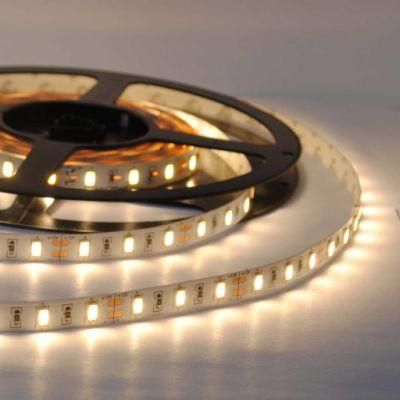 DC24V 25mm Cut 3528SMD 5mm Width LED Flexible Rope Tape Strip