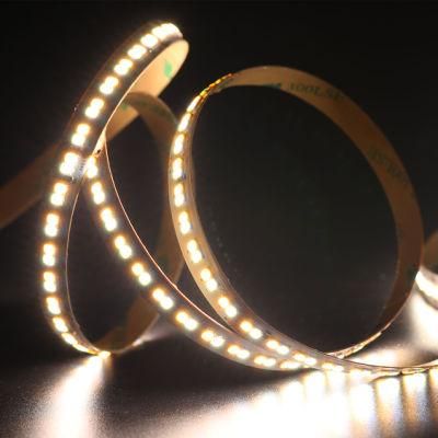 Double Color Light CCT SMD2835 Flexible LED Strip with IEC/En62471