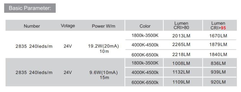 LED Strip Without Voltage Drop IC Built in Constant Current LED Light Strip