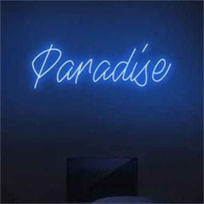 Drop Shipping Wall Mounted Decorative Silicon LED Letter Sign Acrylic Custom Home Paradise LED Neon Sign