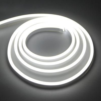 Customized Length LED Neon Lighting for Decorated Landscape Outdoor LED Neon Flex Strip Light