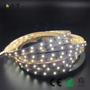 High Brightness DC12V 24V IP65 SMD2835 Ww Cw 1m 60LEDs Flexible LED Strip Tape Ce ETL UL