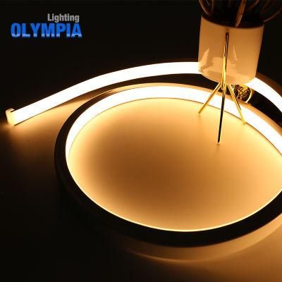 Ultra Thin Hanging LED Neon Flex Rope Light