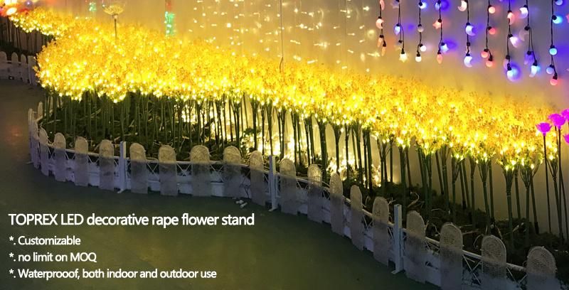 Wholesale Event Festive Party Supplies LED Decoration Light Brassica Campestris Flower