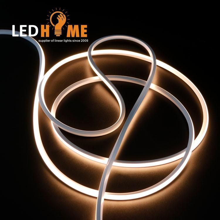 12/24V LED Neon Flex Rope Light Lighting Strip IP65