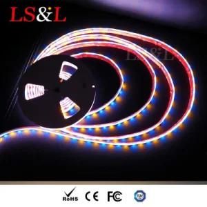 DC12/DC24V LED Lighting RGB+Amber Strips