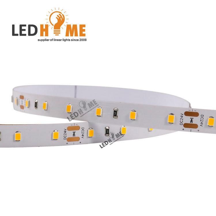 60/120/180/240/300 LED/M DC 24V LED Strip Warm/White