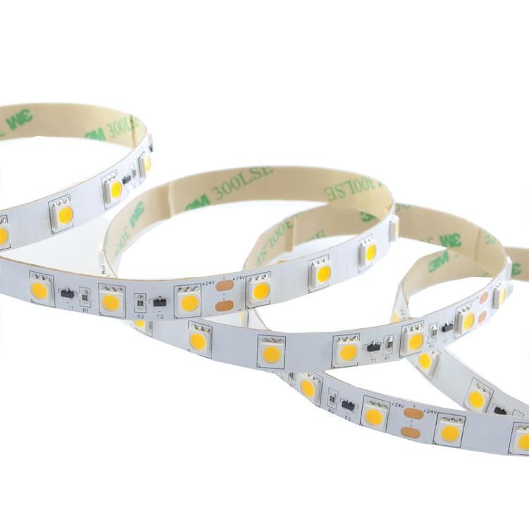 SMD5050 60Leds/m DC24V Constant Current Flexible LED Light Strip