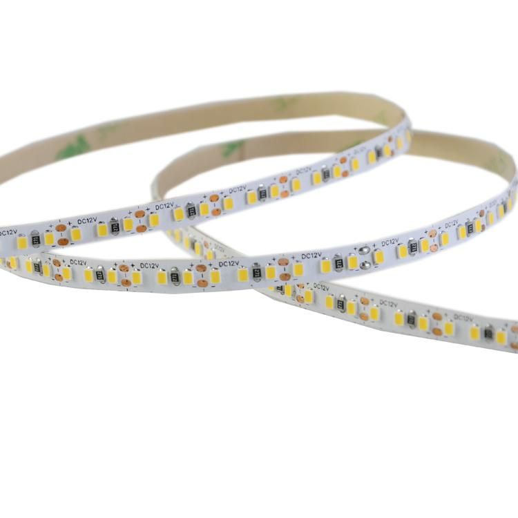 SMD2216 240LEDs/m DC12V 5mm LED strips super bright light