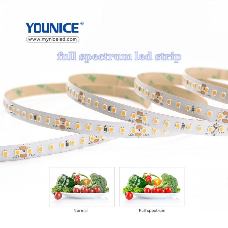 10mm Width DC24vd CRI>95 Ra>97 Full Spectrum 2700K LED Strip