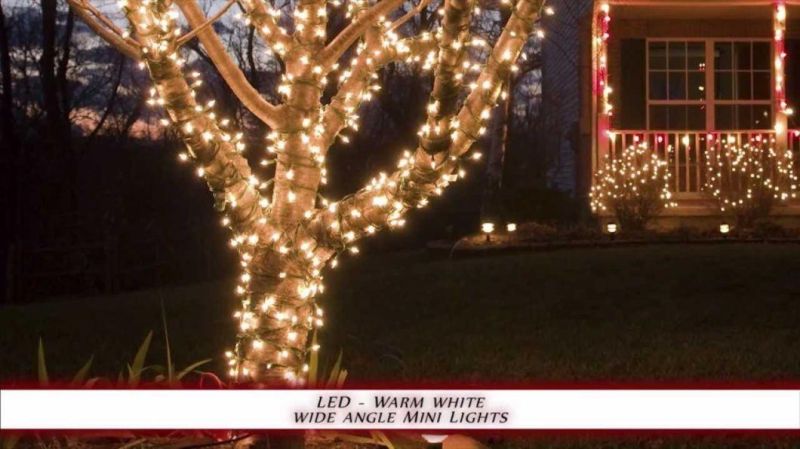 Christmas Outdoor LED C7 Lamp Bulbs