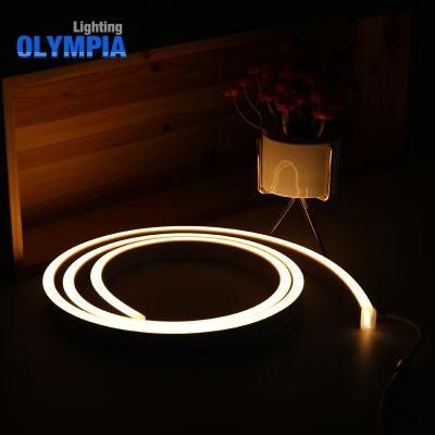 High Brightness DC24V SMD5050 LED Neon Flex Rope Light