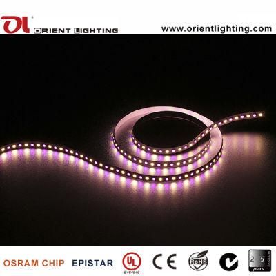 UL Ce 96 LEDs/M SMD5060 &amp; SMD5050 RGB+W LED Flexible Strip Light