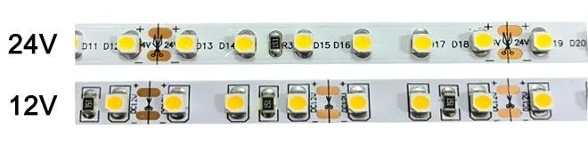 Single Color LED Strip SMD LED 3528 with TUV/Ce