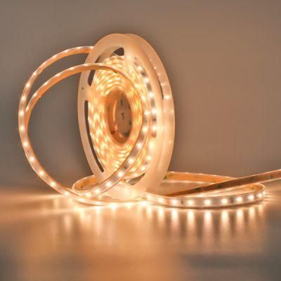 IP65 LED Strip Light