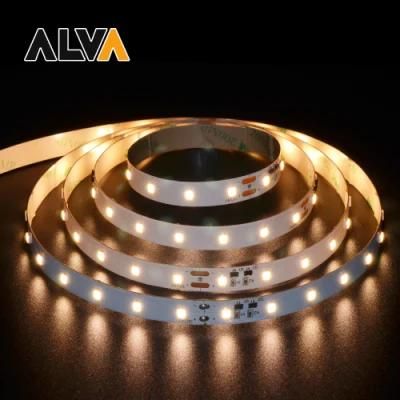 High Lumen 64PCS/M SMD2835 Flexible Rope Light 12V 24V LED Strip with TUV CE, IEC