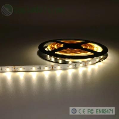 Dimmable Flexible 2835 LED Light Strip 12V 12W/M 2years Warranty