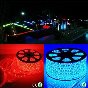 ETL 5050 60LED Flex RGB LED Strip Light LED Light