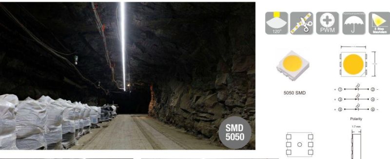 36V Constant Current 5050SMD 18LEDs/M 6500K IP67plus Moisture Proof 329-465lm LED Strip for Kazakhstan Mine Projects