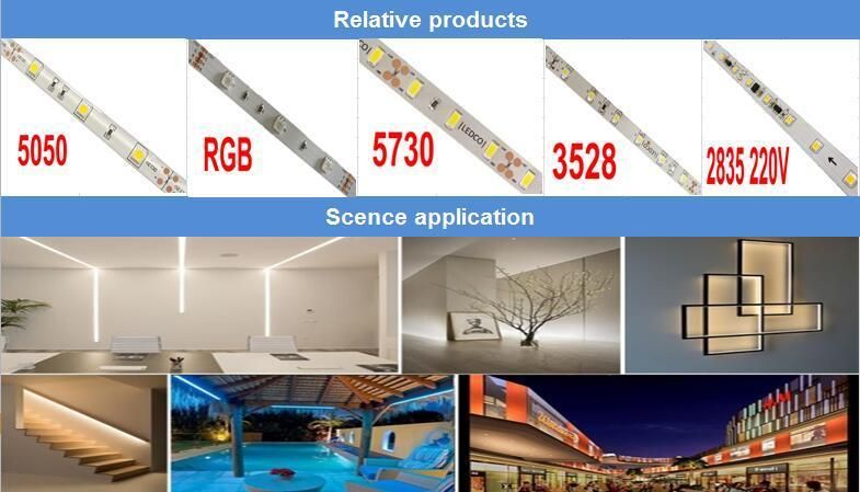 Lm-80 Approval SMD 2835 LED Strip Light