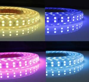 Ceiling LED Lighting LED Gardeb Light Outdoor LED Strip RGB