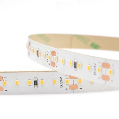 5years Warranty LED Strip Light SMD2216 180LEDs/M