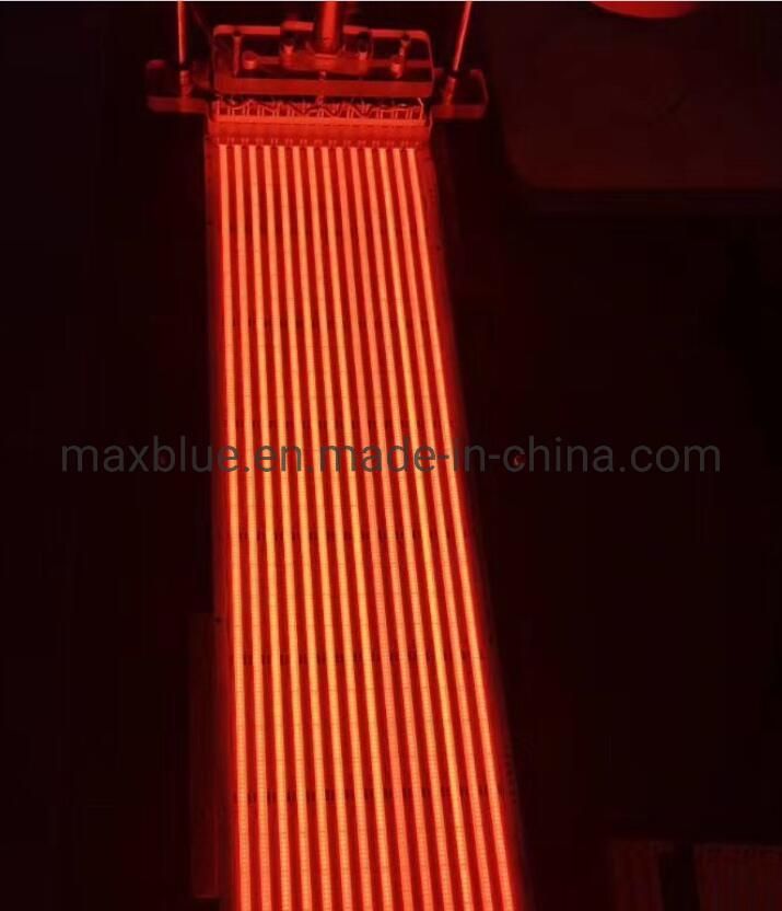 DC12V/24V 10W/12W Red Color COB LED Strip 3 Years Warranty