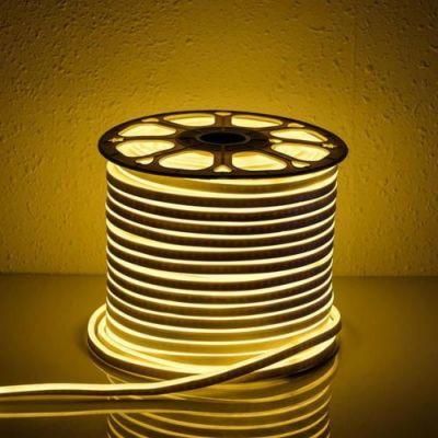 2835 Waterproof LED Neon Strip Light Indoor Outdoor Lighting LED Neon Flex 12V LED Strip Light