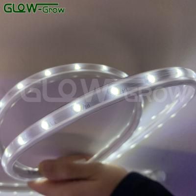 SMD 3030 IP65 Waterproof High Voltage White LED Strip Light for Hotel Project Bridge Decoration