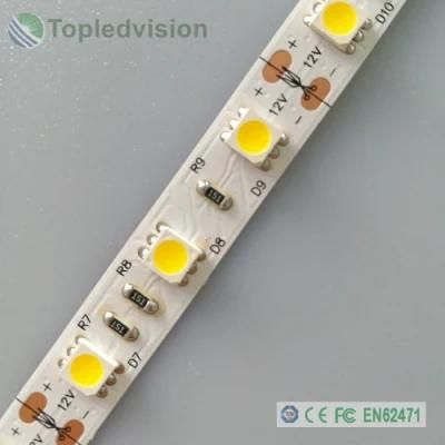 High Quality 12V/24V SMD5050 LED Strip for Indoor Outdoor Lighting