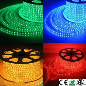 Outdoor 5050 RGB LED Strip Light 120V/220V 50meters