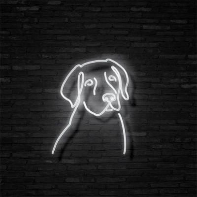 China Free Design Active Any Logo Pattern Letter Fonts Neon Light Sign LED Letter Custom Labrador Neon Sign