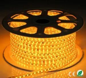 LED Light Strip Waterproof IP65 Strip Lighting for Garden Decoration