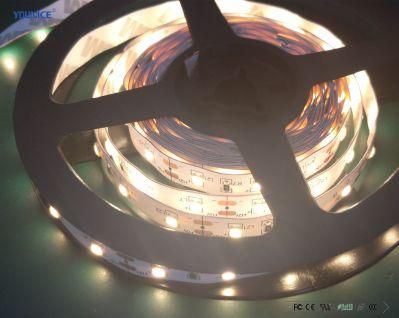 60LEDs Per Meter Long Cascade High Quality LED Flexible Strip