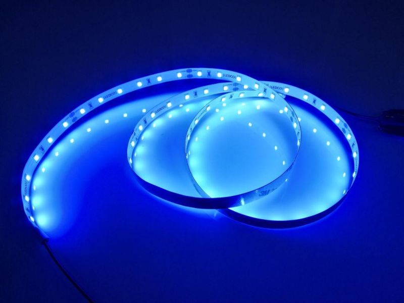 LED Lighting 2835 LED Strip 60d 24V Adhesive 8mm Tape on The Back