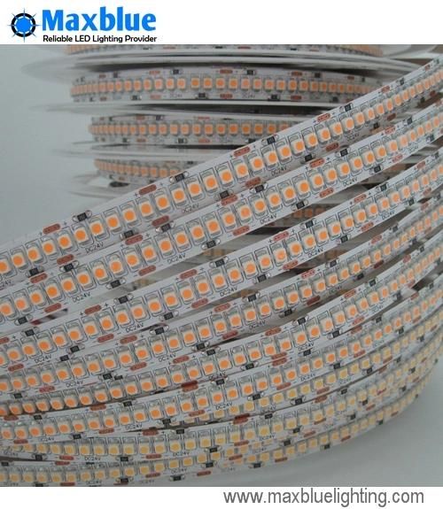 5m DC24V 240LED/M Single Row 3528 SMD Flexible LED Strip