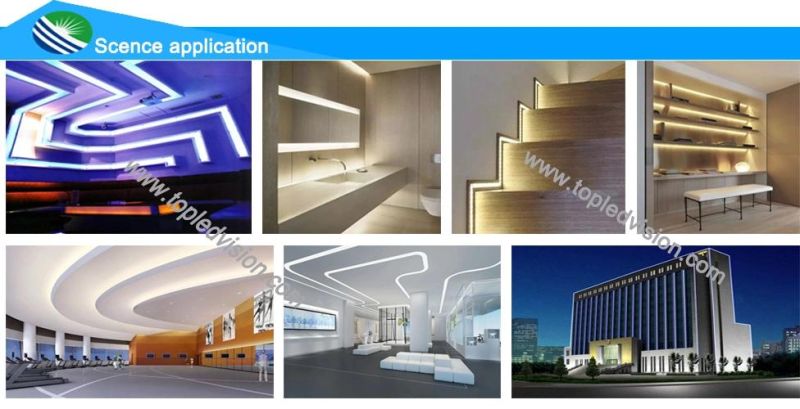 Flexible Decorative Strip Light SMD2835 with TUV Ce