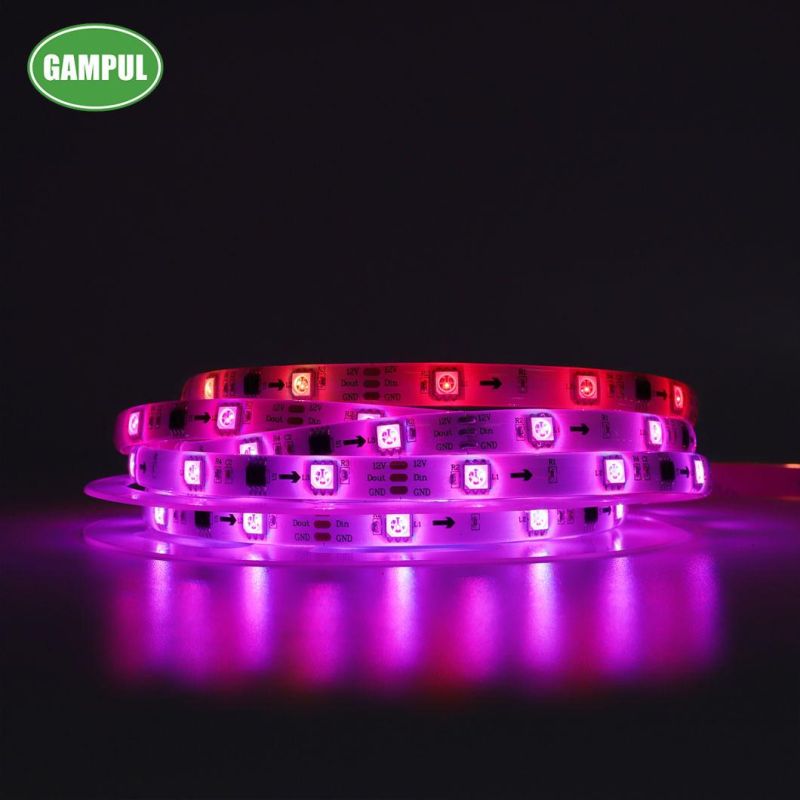 LED China Manufacturer 2-Years Warranty ETL CE Certificated 21W Flexible Smart Chasing RGB Tape Lighting LED Strip Light Bar Pub Sign