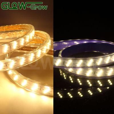 230V 100m 900lm/M 180 (60*3) LEDs/M 2835 IP65 Flexible LED Strip Light with CE Approval