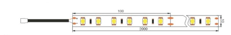 OEM/ODM Wholesale Kit Pack 5050 Single Color Decoration Light Flexible LED Strip