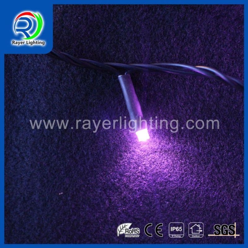 LED Outdoor String Decorative Light LED Festival Light Fairy Light LED Twinkle String Light