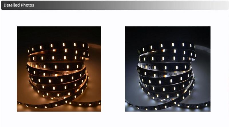 Expert Manufacturer of 5050 CCT White/Warm White Twin Color LED Strip Light