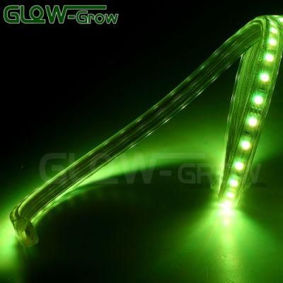 IP65 LED RGB SMD 5050 Strip Light for Hall Decoration