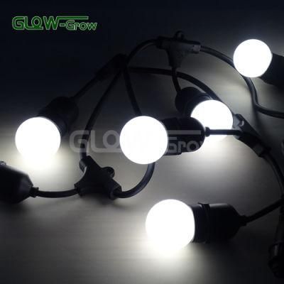 Outdoor Use Hanging Light LED String Belt Light for Wedding Decoration