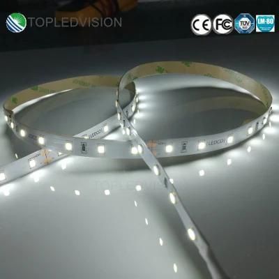 SMD 2835 LED Light Strip 150LEDs/5m 12V Warm White Color